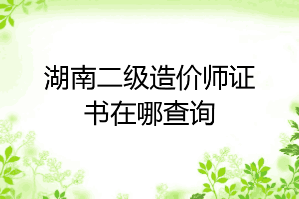 湖南二级造价师证书在哪查询