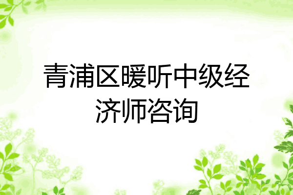 青浦区暖听中级经济师咨询