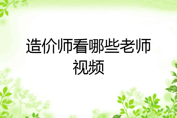 造价师看哪些老师视频
