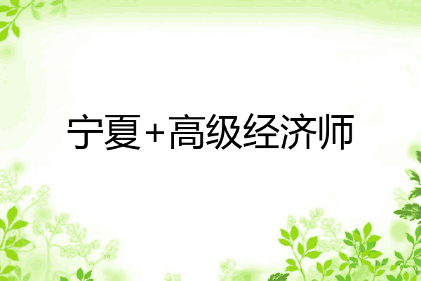 宁夏+高级经济师