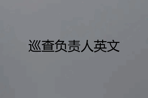 巡查负责人英文