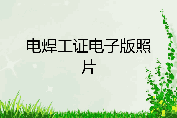 电焊工证电子版照片