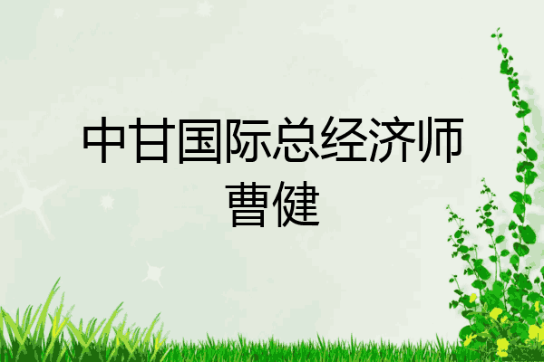 中甘国际总经济师曹健