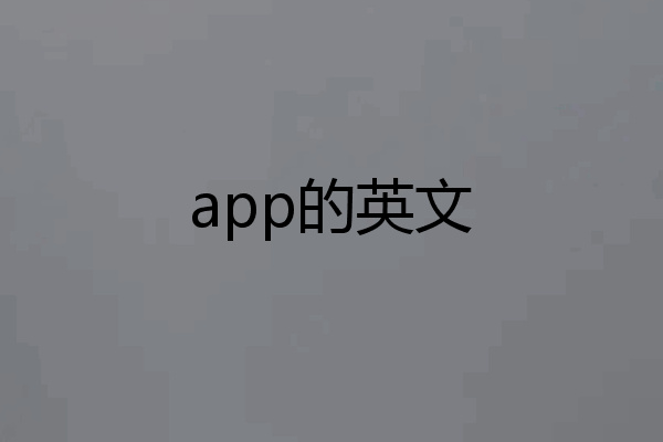 app的英文