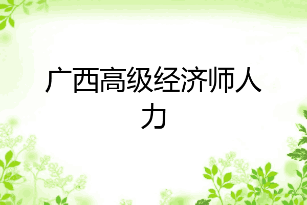 广西高级经济师人力