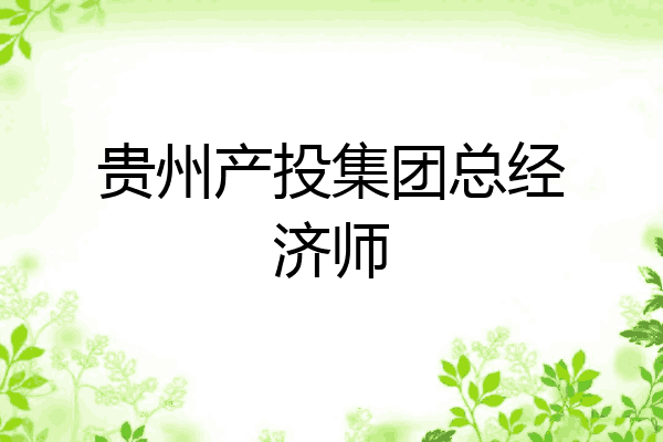 贵州产投集团总经济师