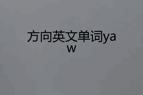 方向英文单词yaw