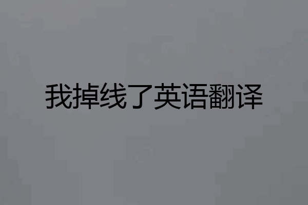 我掉线了英语翻译