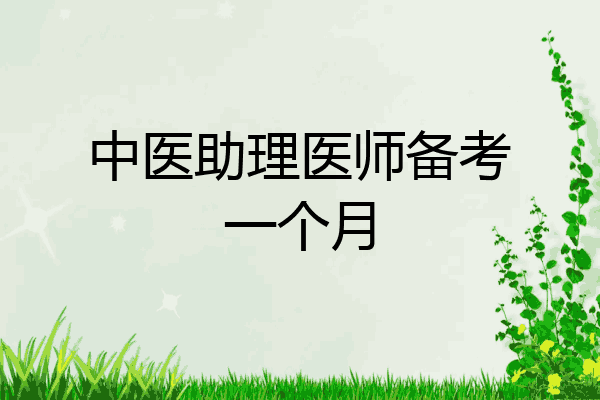 中医助理医师备考一个月
