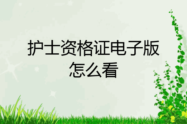 护士资格证电子版怎么看
