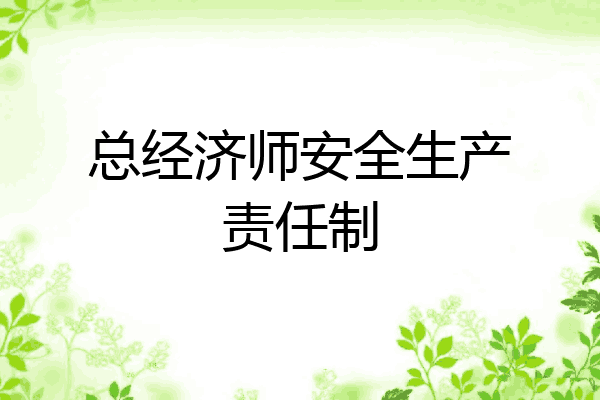 总经济师安全生产责任制