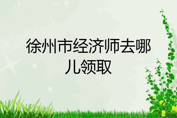 徐州市经济师去哪儿领取
