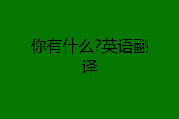 你有什么?英语翻译