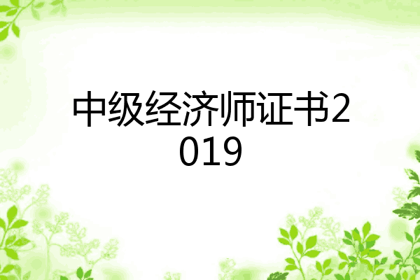 中级经济师证书2019