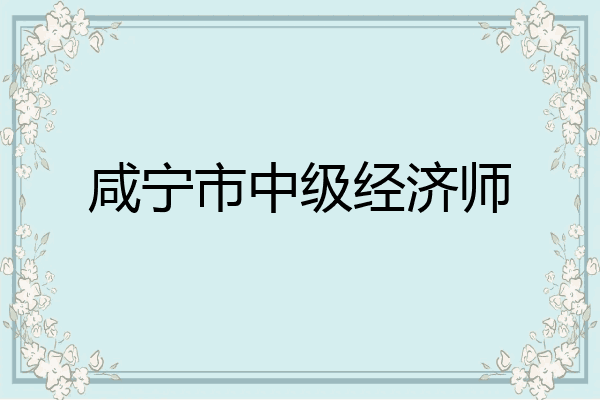 咸宁市中级经济师