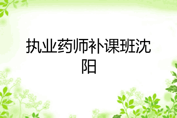 执业药师补课班沈阳
