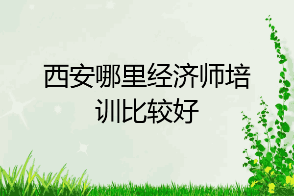 西安哪里经济师培训比较好