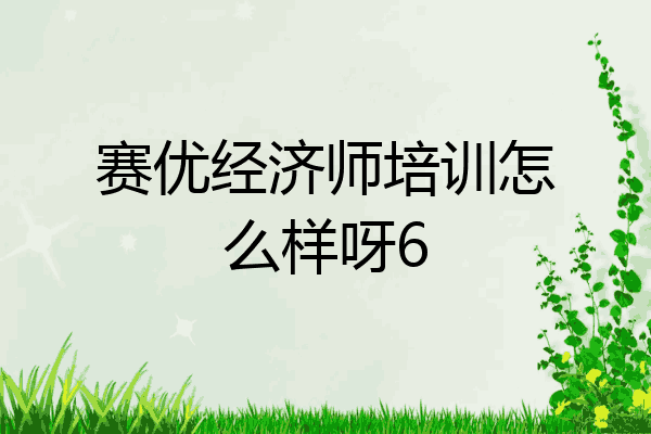 赛优经济师培训怎么样呀6