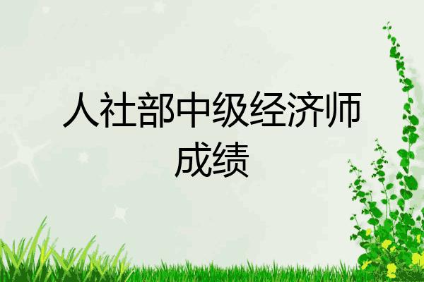 人社部中级经济师成绩