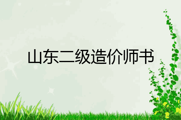 山东二级造价师书