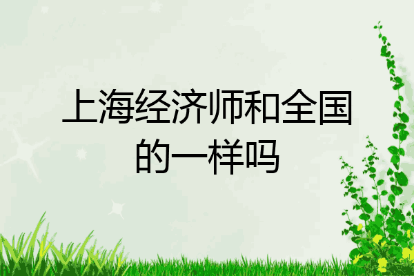 上海经济师和全国的一样吗