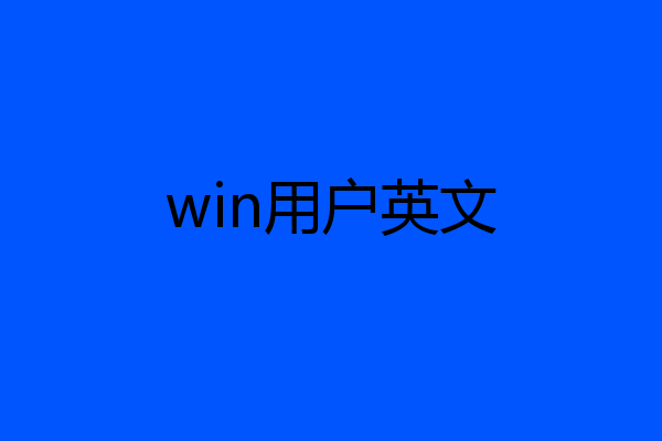 win用户英文
