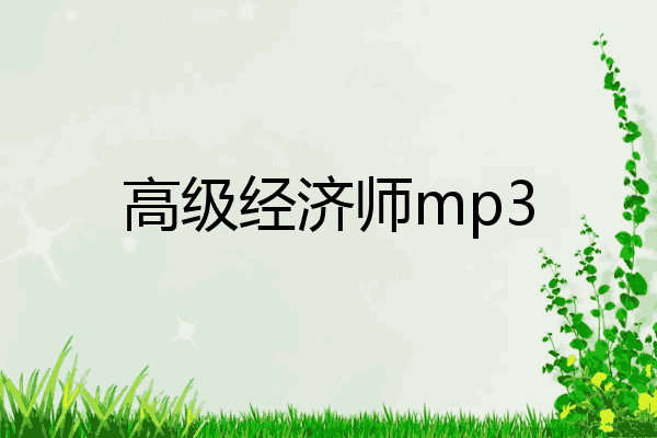 高级经济师mp3