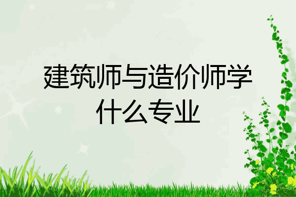 建筑师与造价师学什么专业