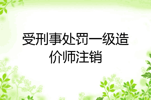 受刑事处罚一级造价师注销