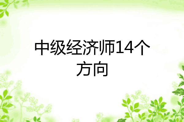中级经济师14个方向