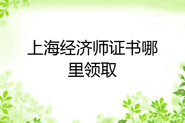 上海经济师证书哪里领取