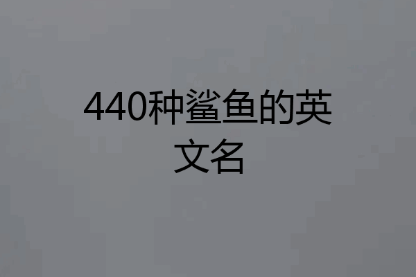 440种鲨鱼的英文名