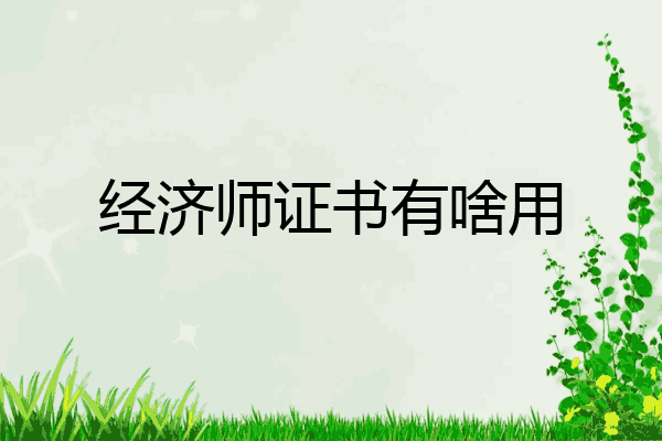 经济师证书有啥用