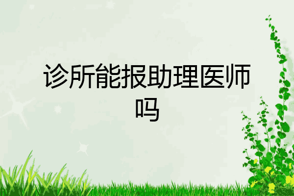 诊所能报助理医师吗