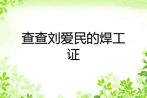 查查刘爱民的焊工证