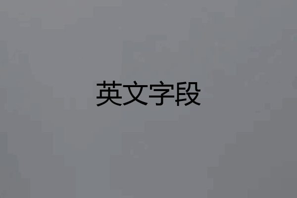 英文字段
