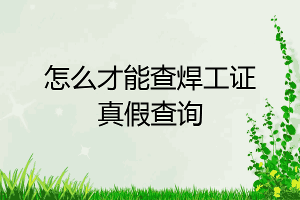 怎么才能查焊工证真假查询