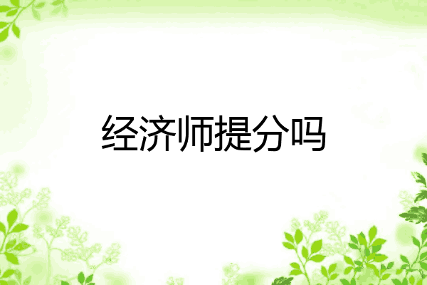经济师提分吗