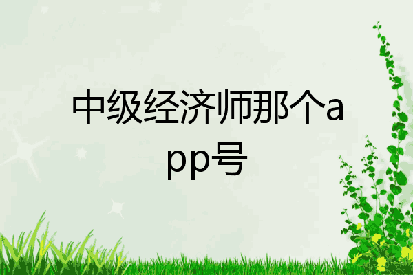 中级经济师那个app号