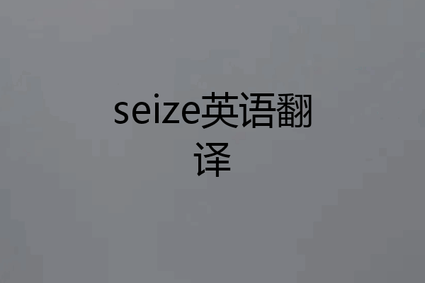 seize英语翻译