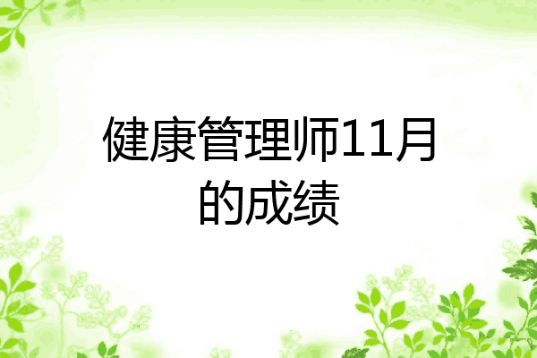 健康管理师11月的成绩