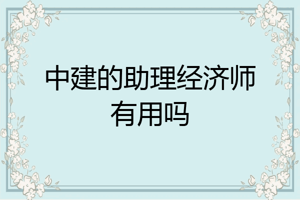 中建的助理经济师有用吗