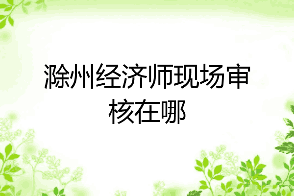 滁州经济师现场审核在哪