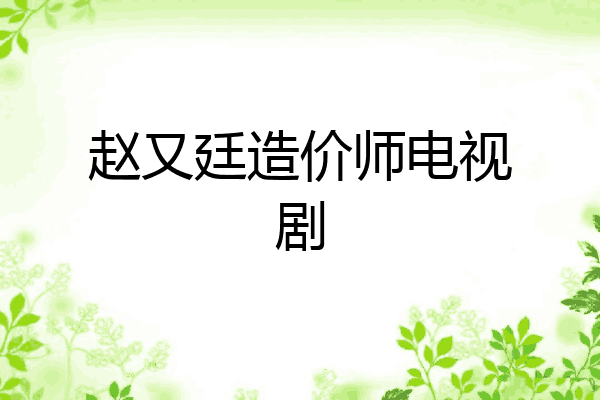 赵又廷造价师电视剧