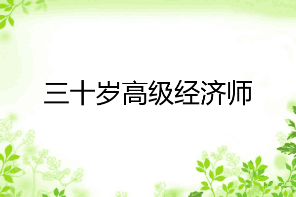 三十岁高级经济师
