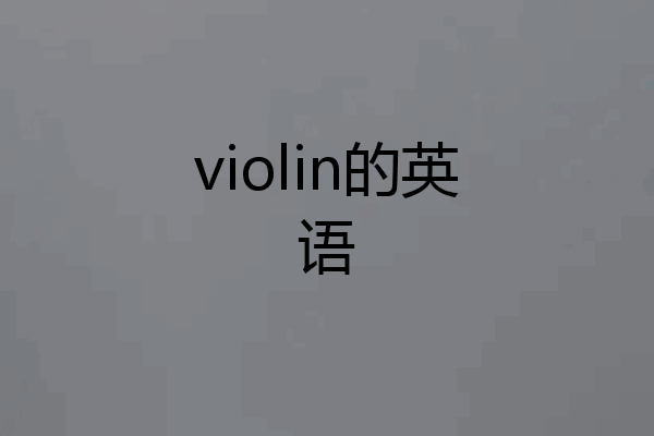 violin的英语