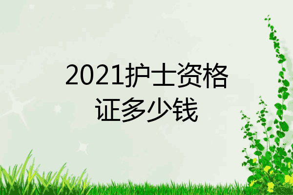 2021护士资格证多少钱