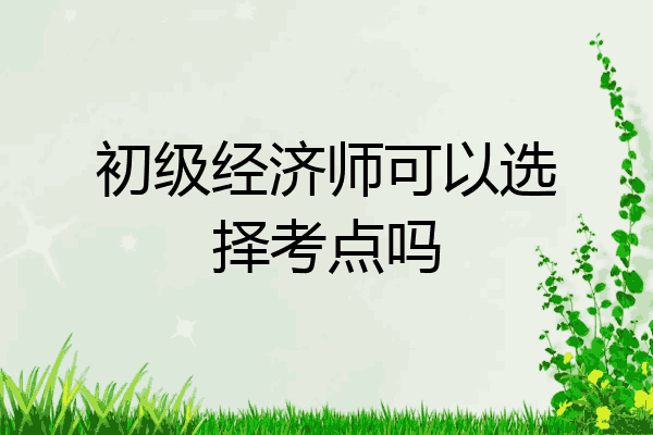 初级经济师可以选择考点吗