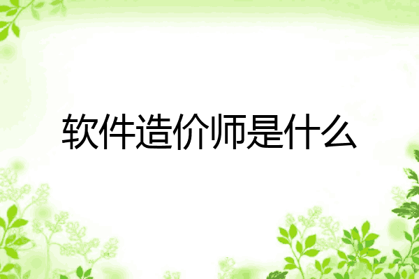 软件造价师是什么