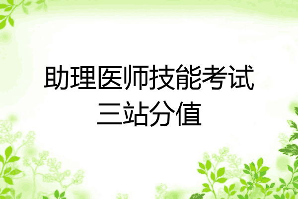 助理医师技能考试三站分值